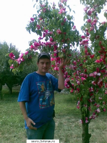 a facut si plopu' pere deja de cind te astept, fata draga... :d id-uri de baieti